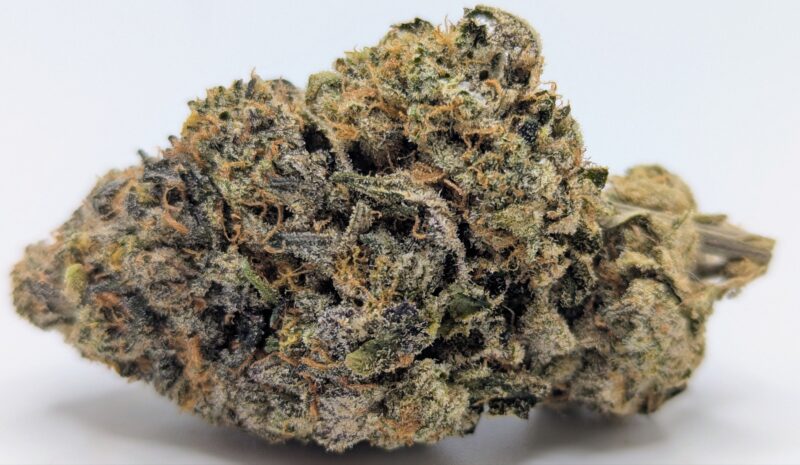 🍊Orange Cookie MAC🍪 ★★★★☆ - 14g