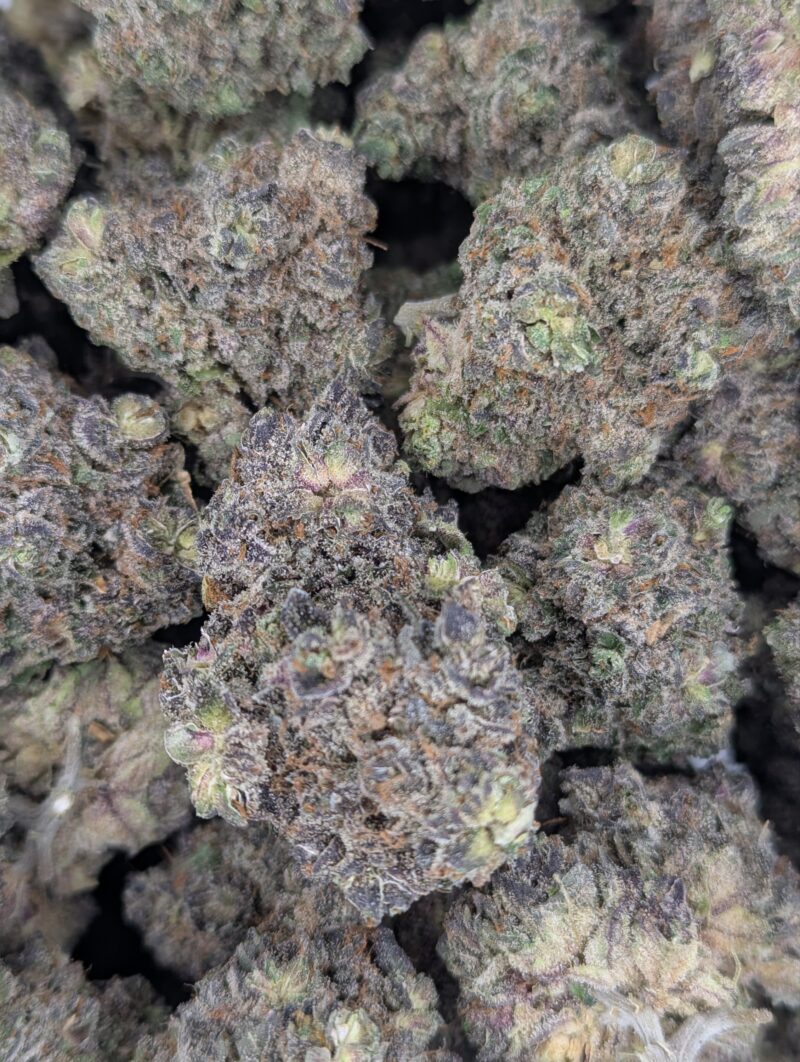 Organic Blue Burst ★★★★★ - 112g [BULK]