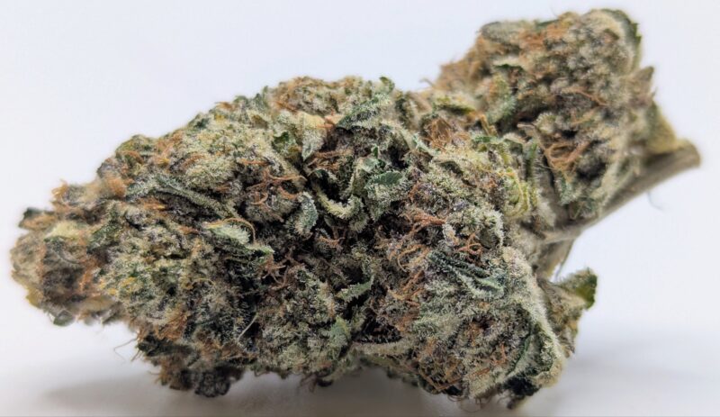 😵‍💫Georgia Tarts🫨 ★★★★★ - 7g