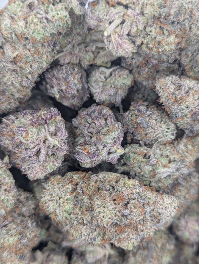 Purple Glue ★★★★★ – 112g [BULK]