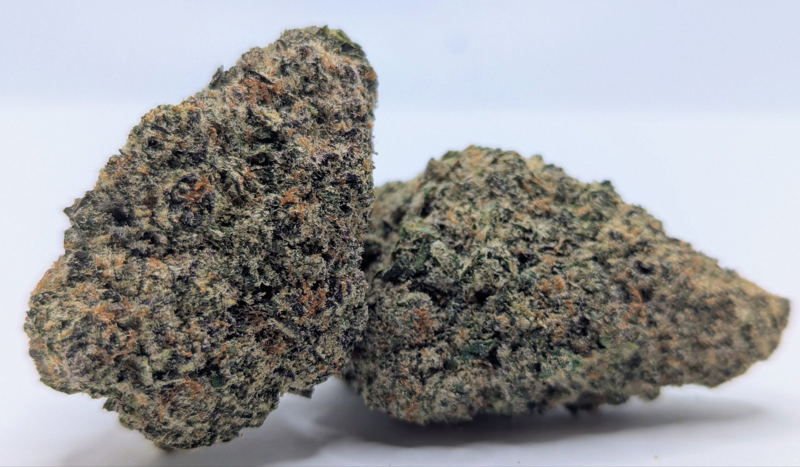 🫏Buckin' Runtz🫏 ★★★★☆ - 14g - Image 2