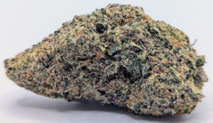 🫏Buckin’ Runtz🫏 ★★★★☆ – 14g