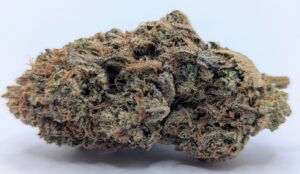 🌌Space Fruit🫐 ★★★☆☆ – 14g