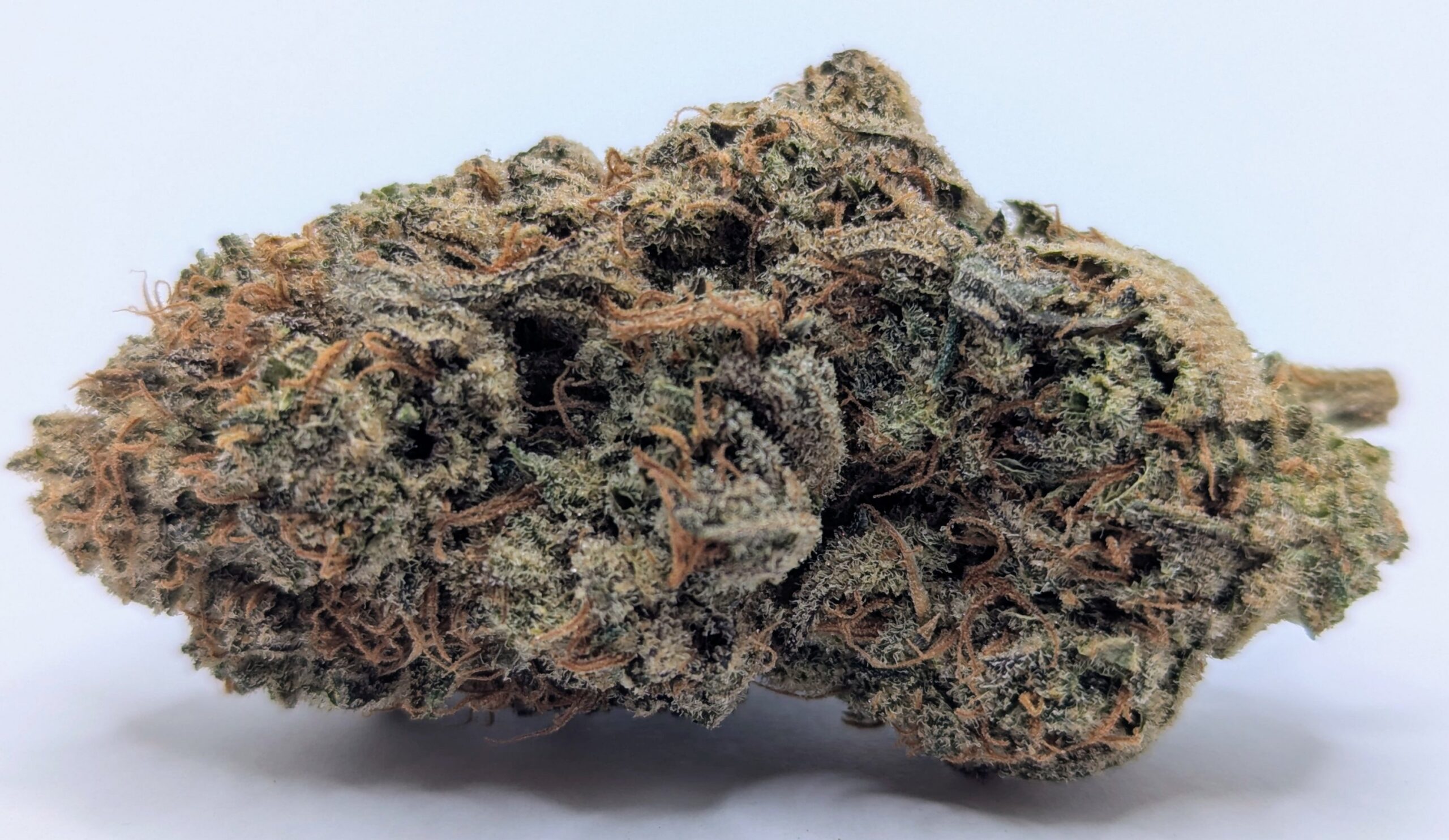 🌌Space Fruit🫐 ★★★☆☆ - 14g