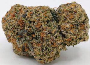 👻Ghost Dawg🐕‍🦺 ★★★★☆ – 14g