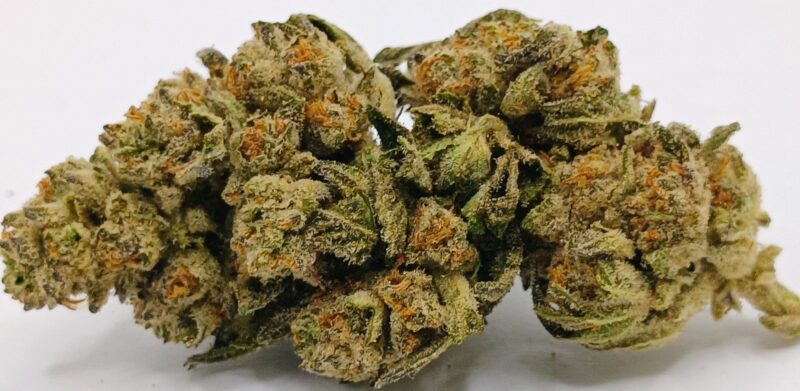 🏯Temple Kush⛩️ ★★☆☆☆ - 28g