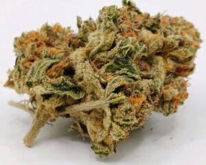🫯Oro Blanco🫯 ★★★☆☆ – 14g