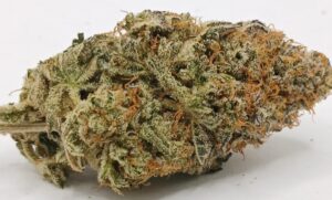 💎White Diamond💎 ★★★★☆ – 14g