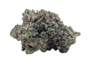 😆Laughing Buddha🪷 ★★★★★ – 7g