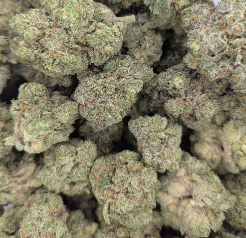 Laughing Buddha ★★★★★ - 112g [BULK]