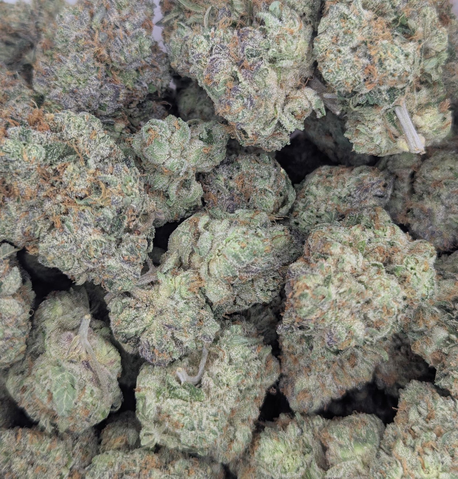 Jokerz Candy cannabis flower buds, photo 3