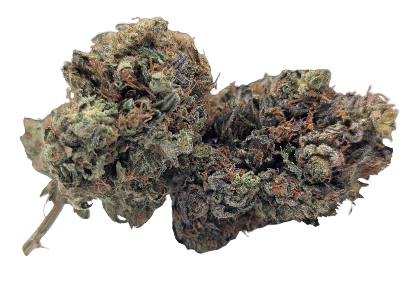 Pink Gas cannabis flower buds