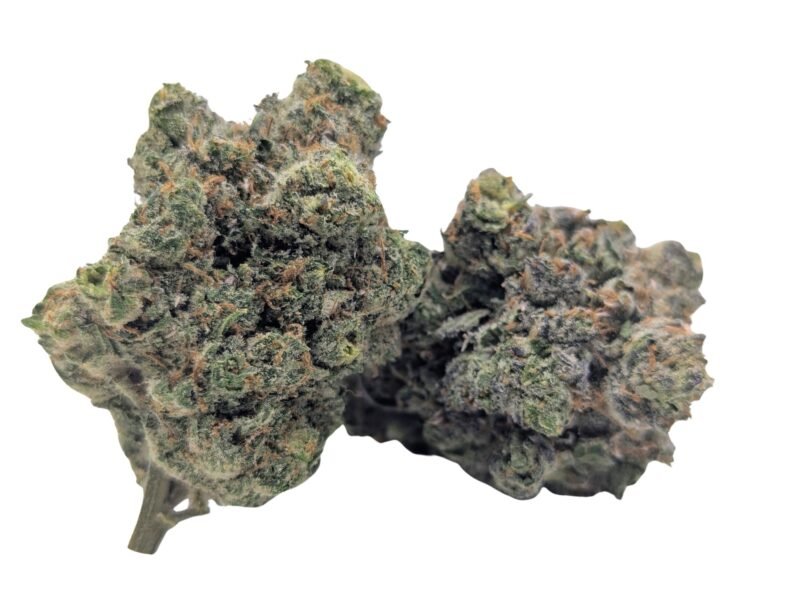 Laughing Buddha cannabis flower buds