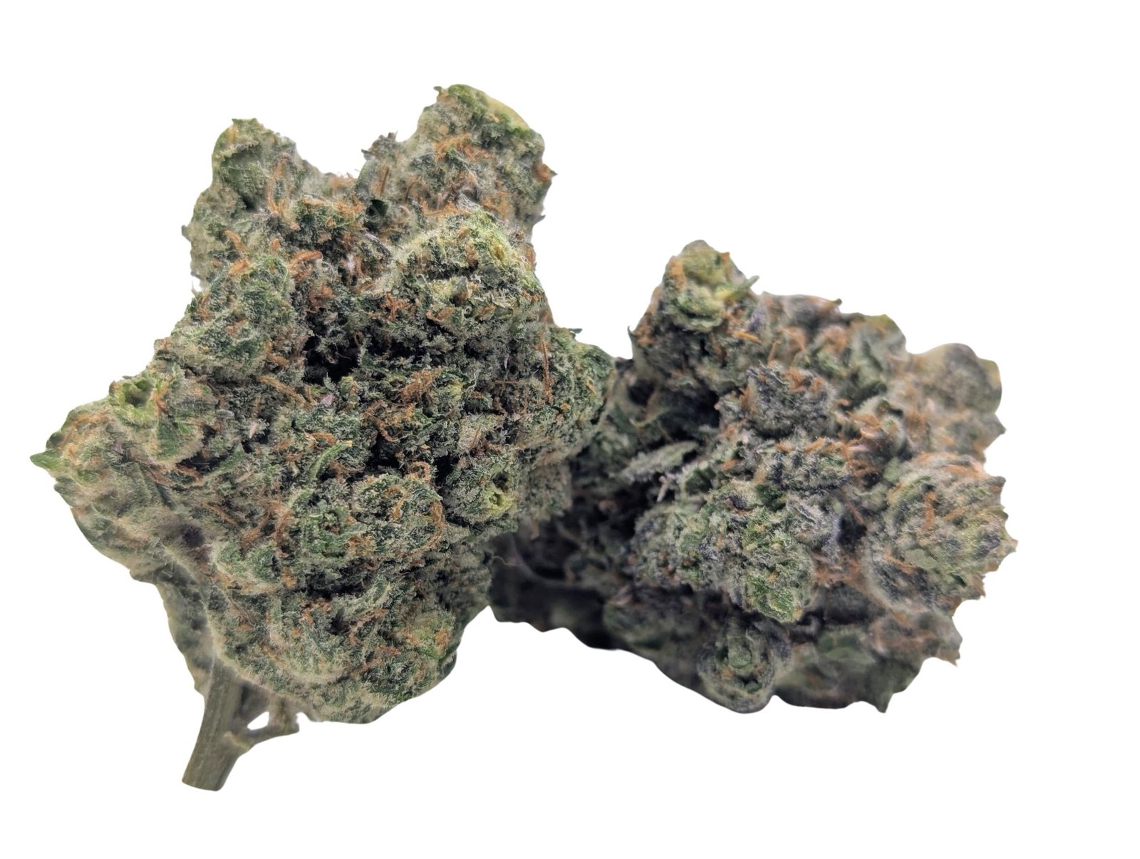 Laughing Buddha cannabis flower buds