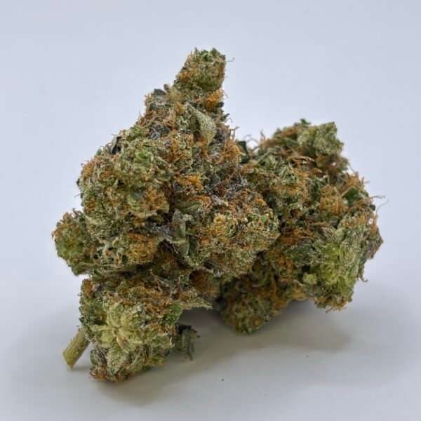 Astro Pink cannabis flower buds