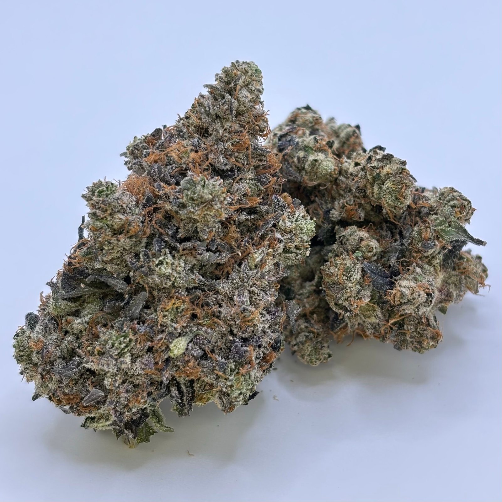 Dank Gas cannabis flower buds
