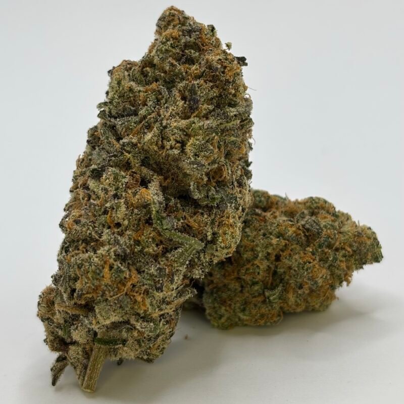 Jungle Fire – 28g cannabis flower buds