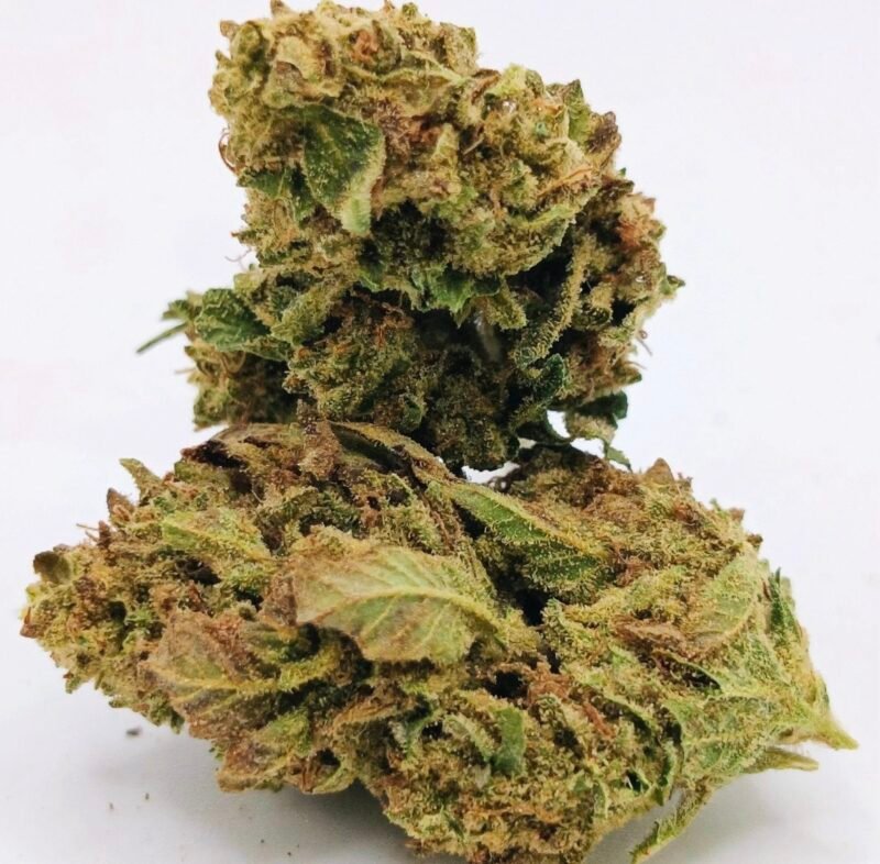 Temple Spice – 112g BULK cannabis flower buds