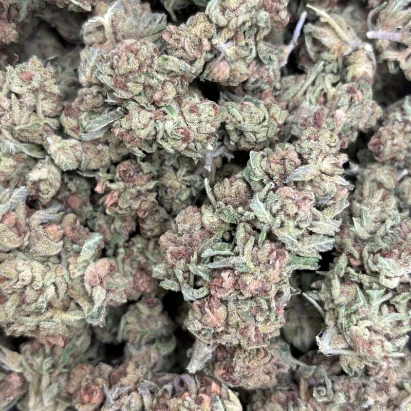 🍒Black Cherry Soda🥤★★☆☆☆ - 112g [BULK]