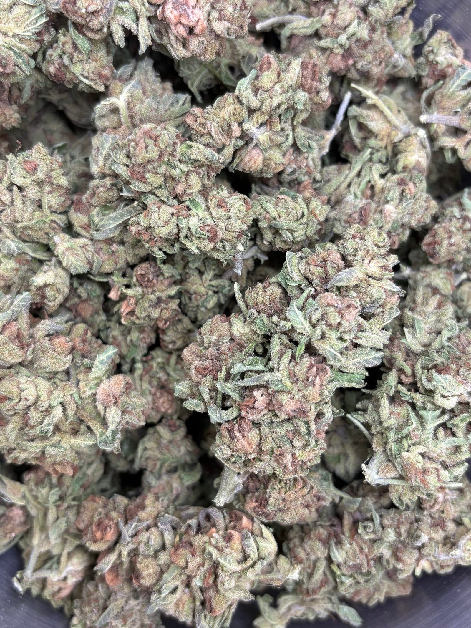 Black Cherry Soda – 112g BULK cannabis flower buds, photo 2