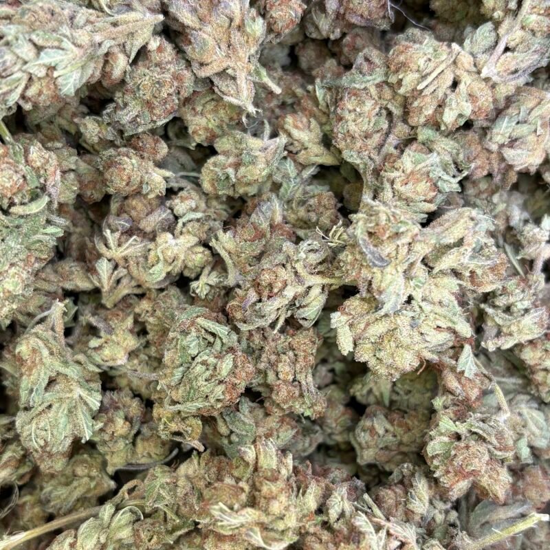 🛕Temple Spice🌶️★★☆☆☆ - 112g [BULK]
