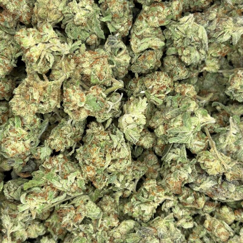 🏙️Sin City Diesel⛽ ★★☆☆☆ - 112g [BULK]