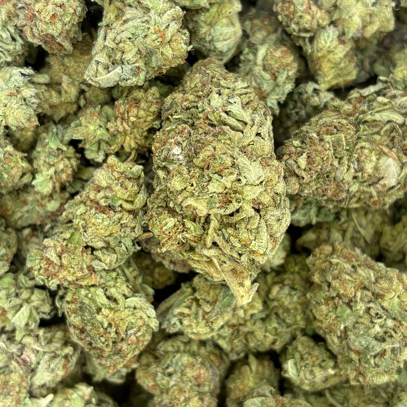 Green Crack – 112g BULK cannabis flower buds, photo 2