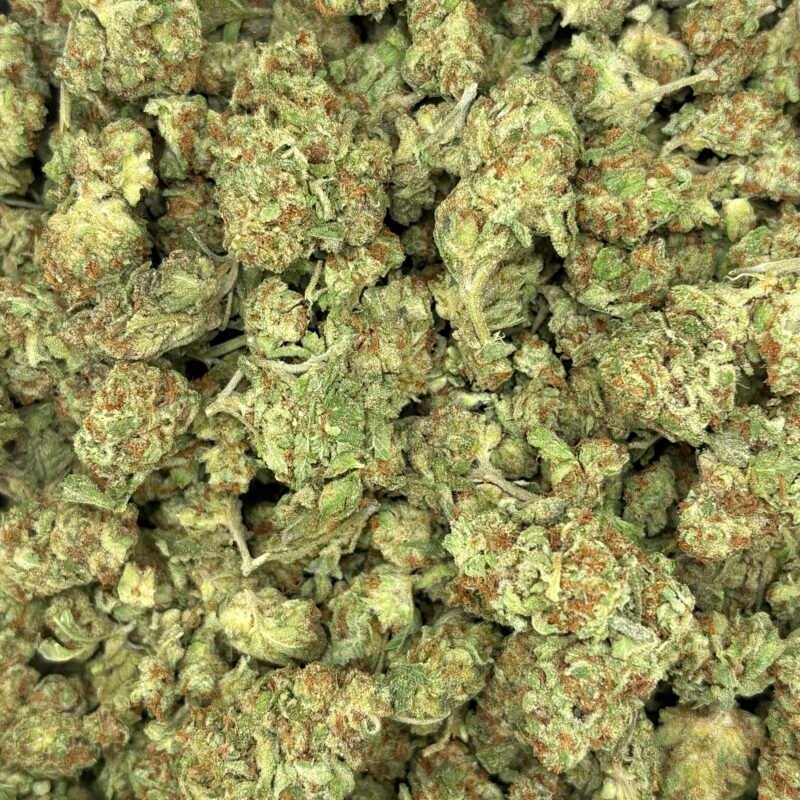 🐯Tiger Blood OG🩸 ★★☆☆☆ - 112g [BULK]